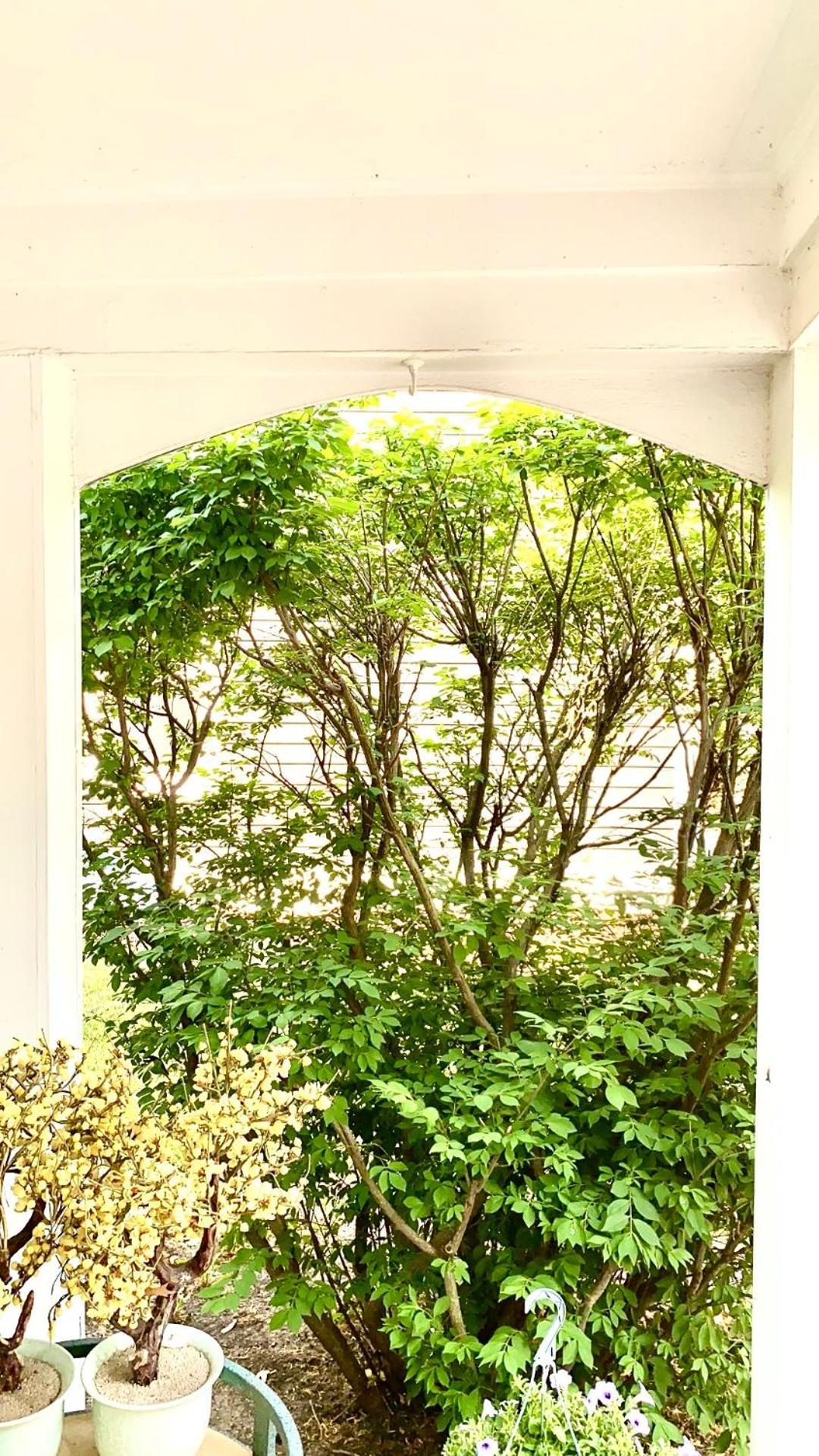 B3 A Private Room In Naperville Downtown With Desk And Wi-Fi Near Everything Exterior foto